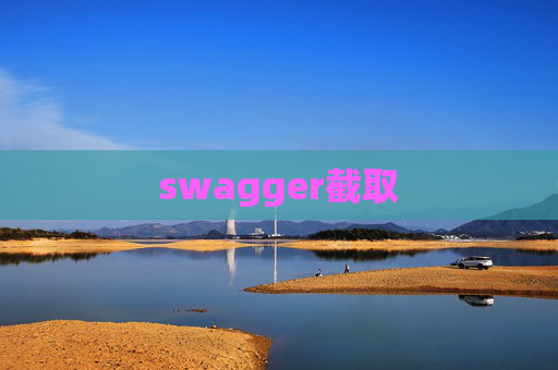 swagger截取